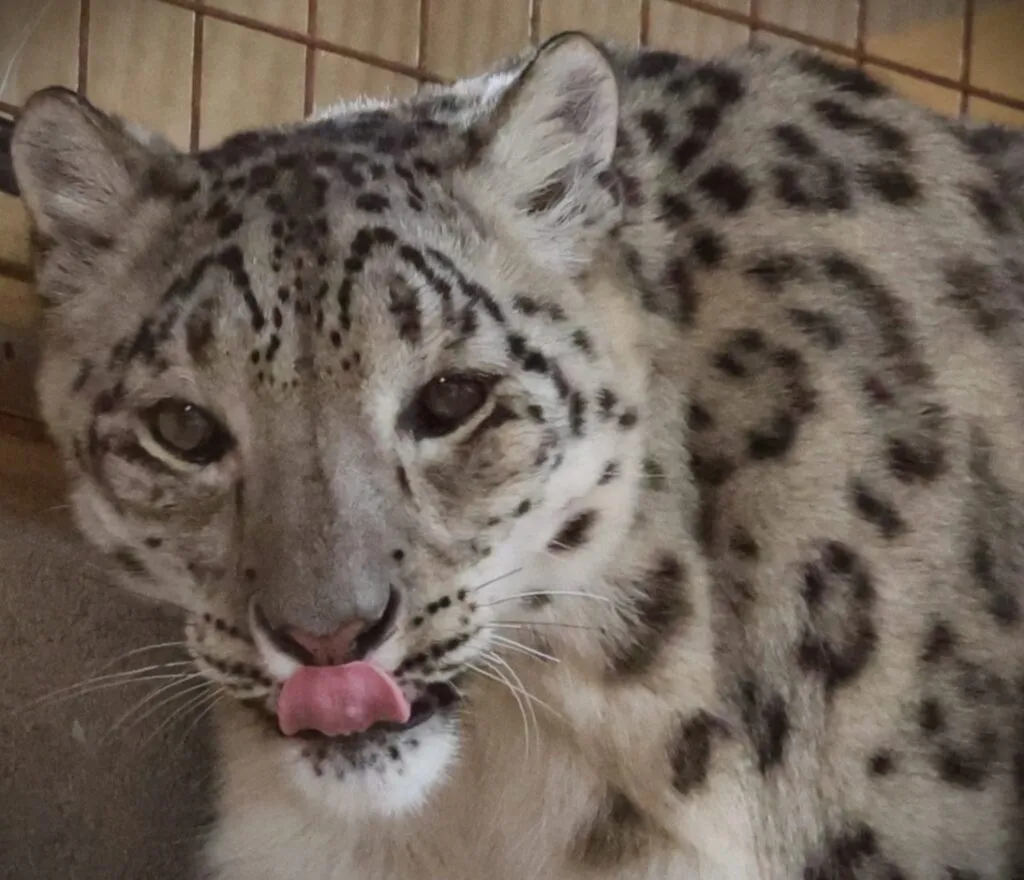 135A2152 Edit 20250805170436