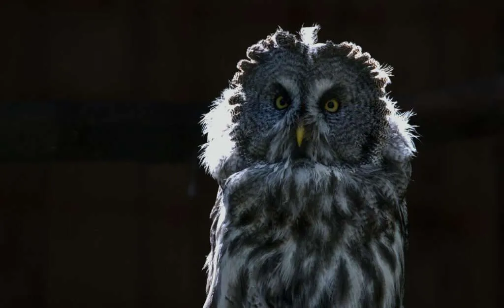 Photo 1754252412207 1