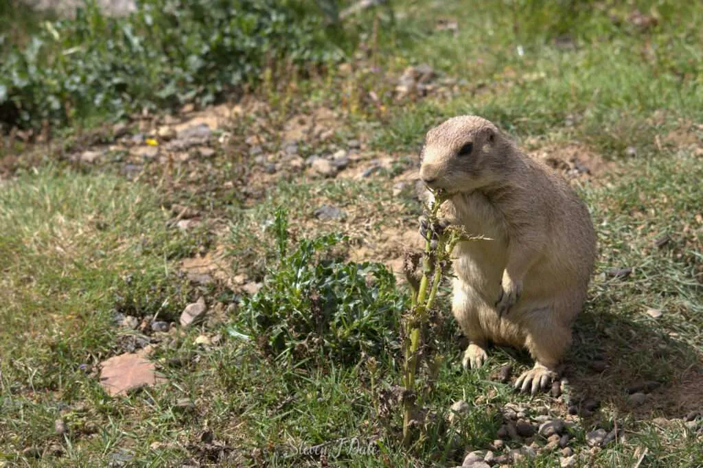 Photo 1754252413019 1