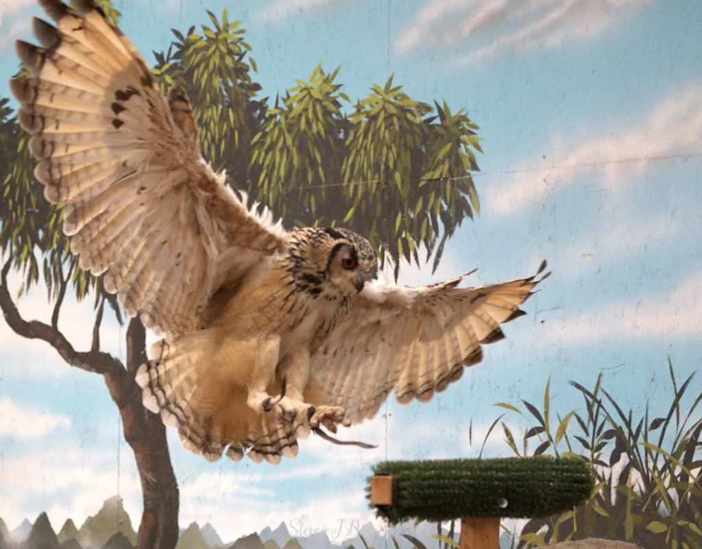 Photo 1754252415225 1